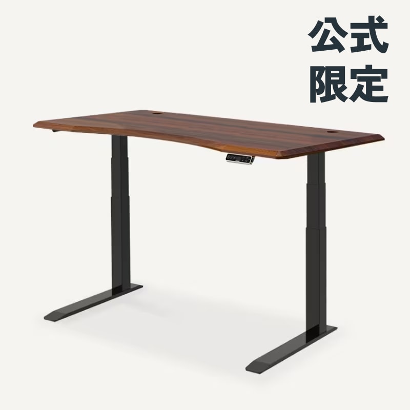 FLEXISPOT E3 スタンディングデスク 公式天板付き 2（非売品